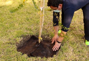 ¿Sabías que tu pelo puede ayudar al planeta?