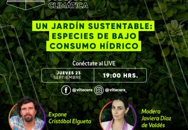 Un jardín sustentable: plantas de bajo consumo hídrico