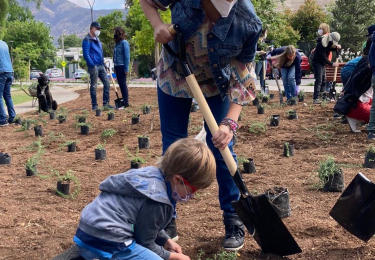 Vecinos realizan la primera plantación en comunidad en un espacio público de Vitacura